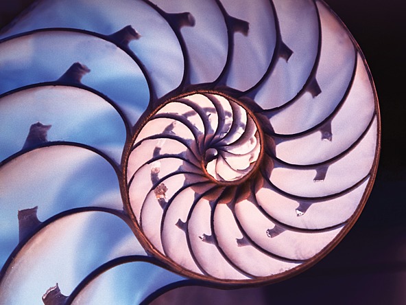 Spiral